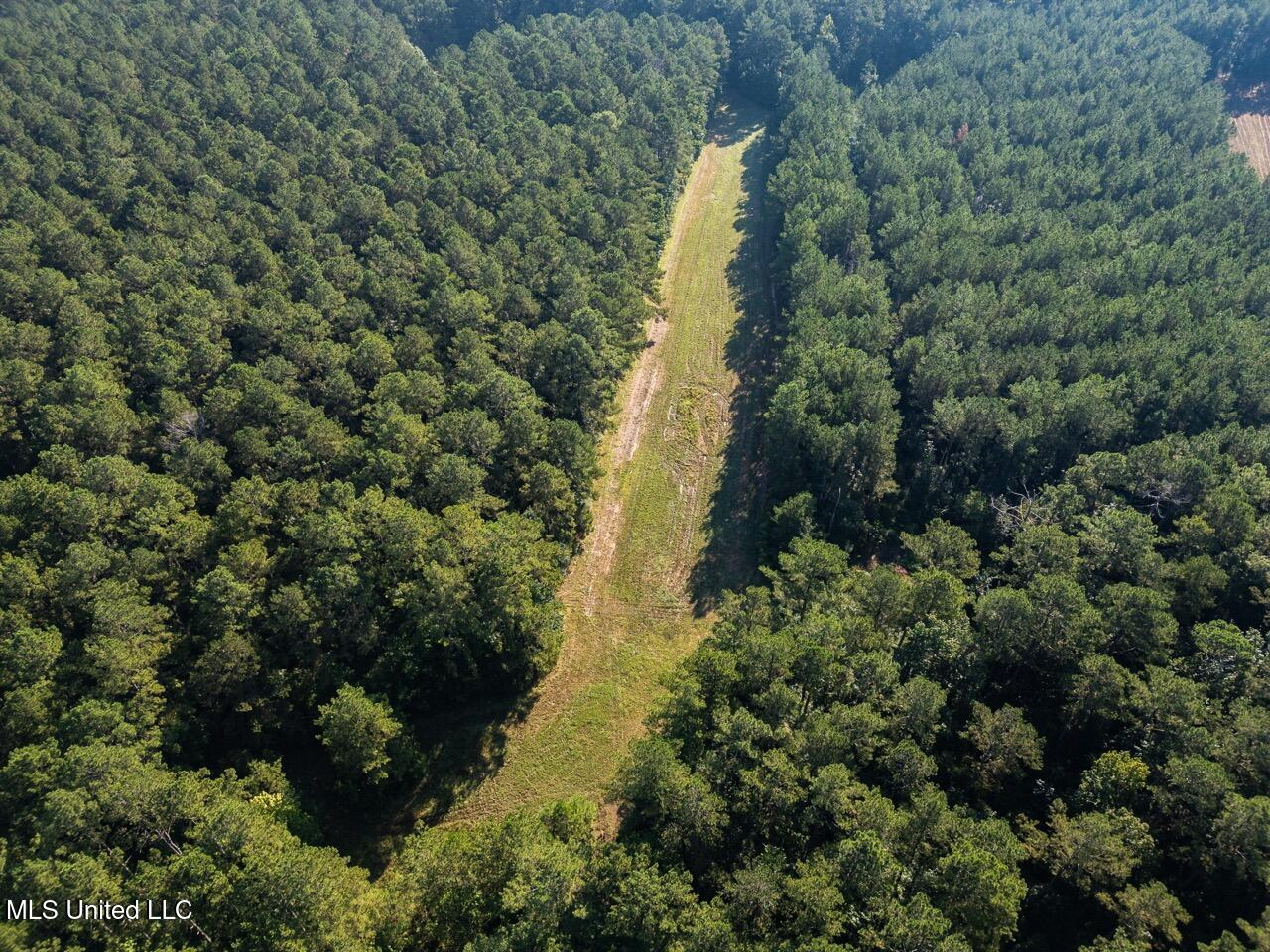 113 Acres Hunting Land with Home in Amite County, MS