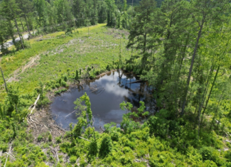 Land for Sale in Amite County, MS