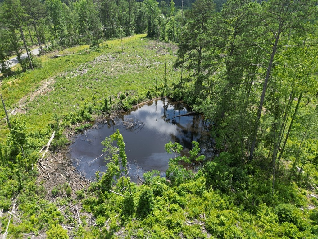 Land for Sale in Amite County, MS