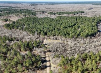 Duck, Deer, and Fishing Land for Sale on Little River