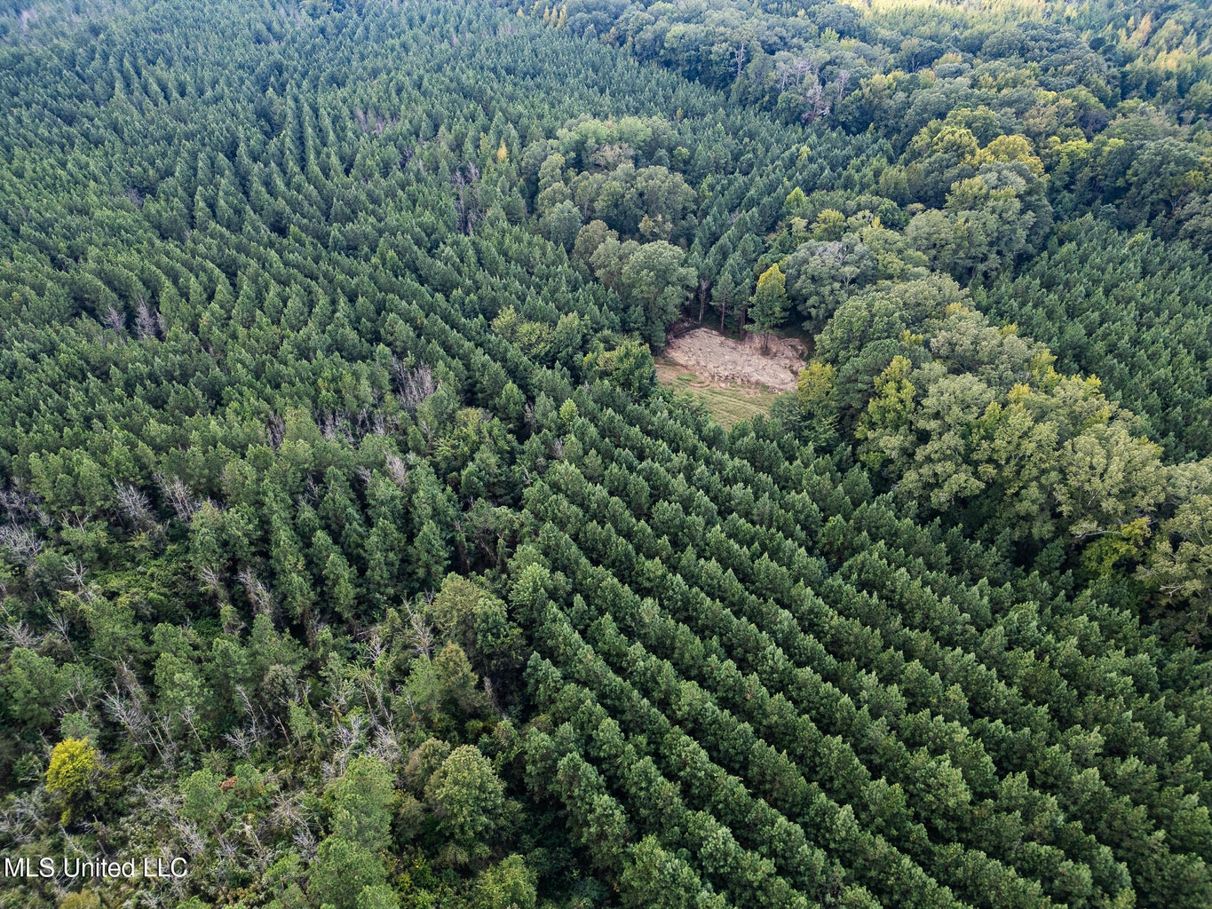 302 Acres in Hermanville, Claiborne County, MS Land
