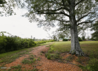 Land for Sale in Lincoln County, MS