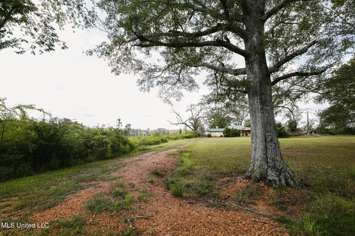 Land for Sale in Lincoln County, MS