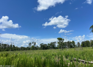 Land for Sale in Amite County, MS