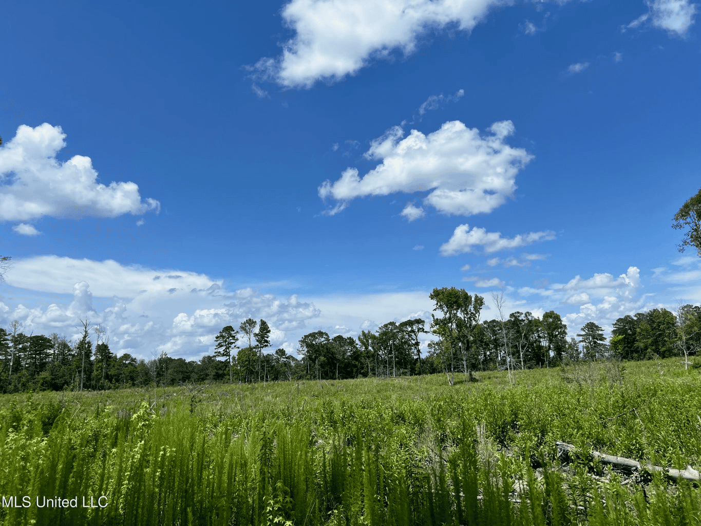 Land for Sale in Amite County, MS