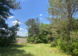 17 ACRES, WOODED, BUILDING SITE, CRP, HUNTING