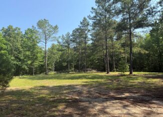 UNRESTRICTED PRIVATE LAND FOR SALE WITH DEER & TURKEY HUNTING