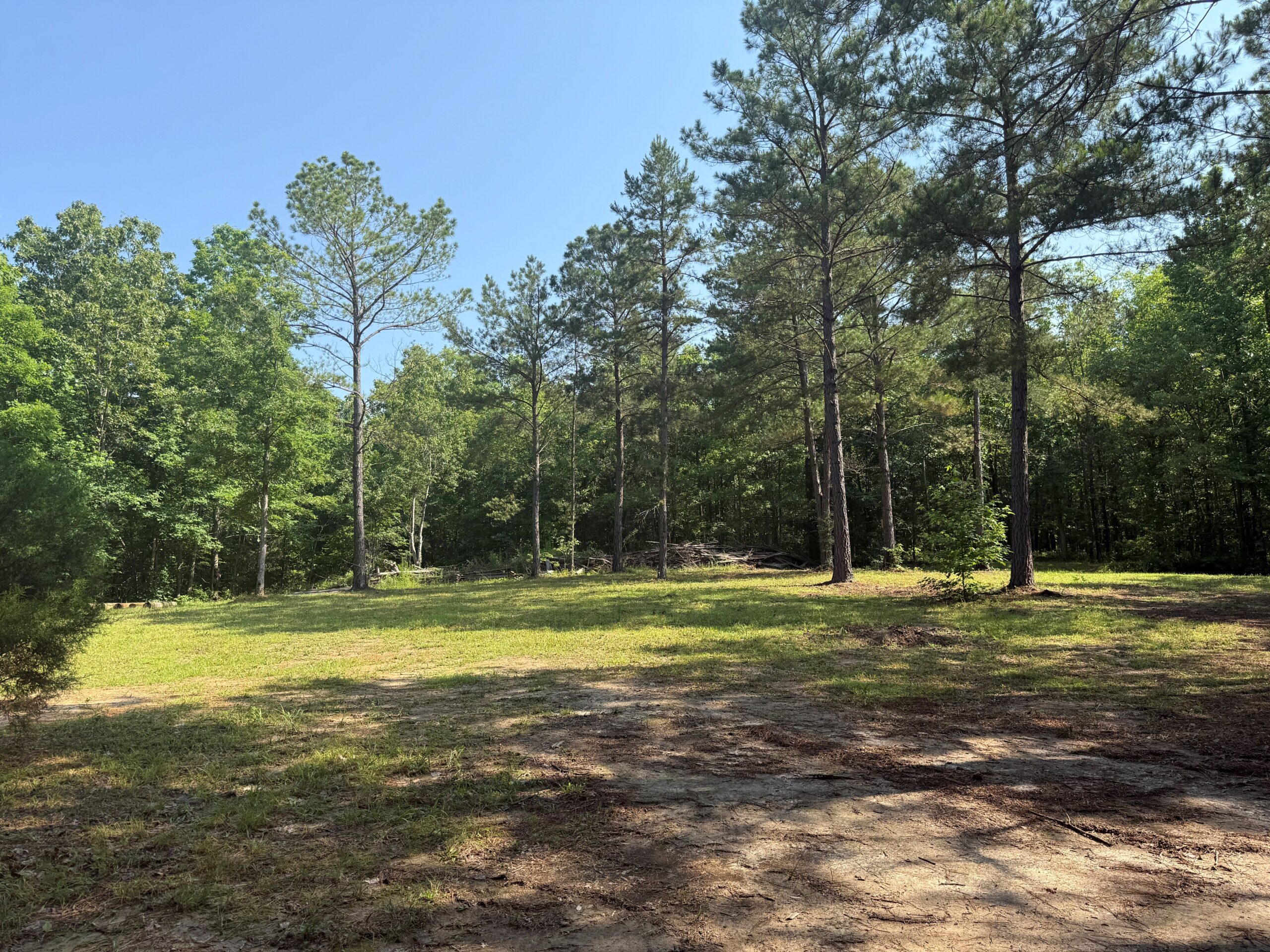 UNRESTRICTED PRIVATE LAND FOR SALE WITH DEER & TURKEY HUNTING