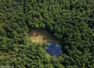 Hunting Land for Sale in Copiah County MS – Dixie Garden 46