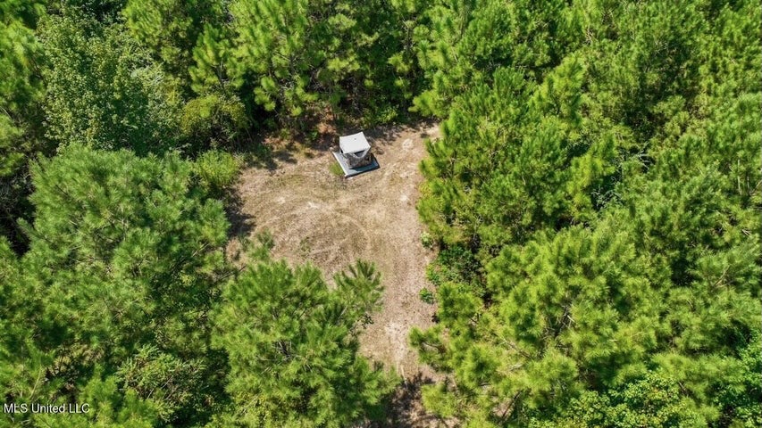 Magnolia MS 18.19 Acres with Mobile Home & Hunting Land