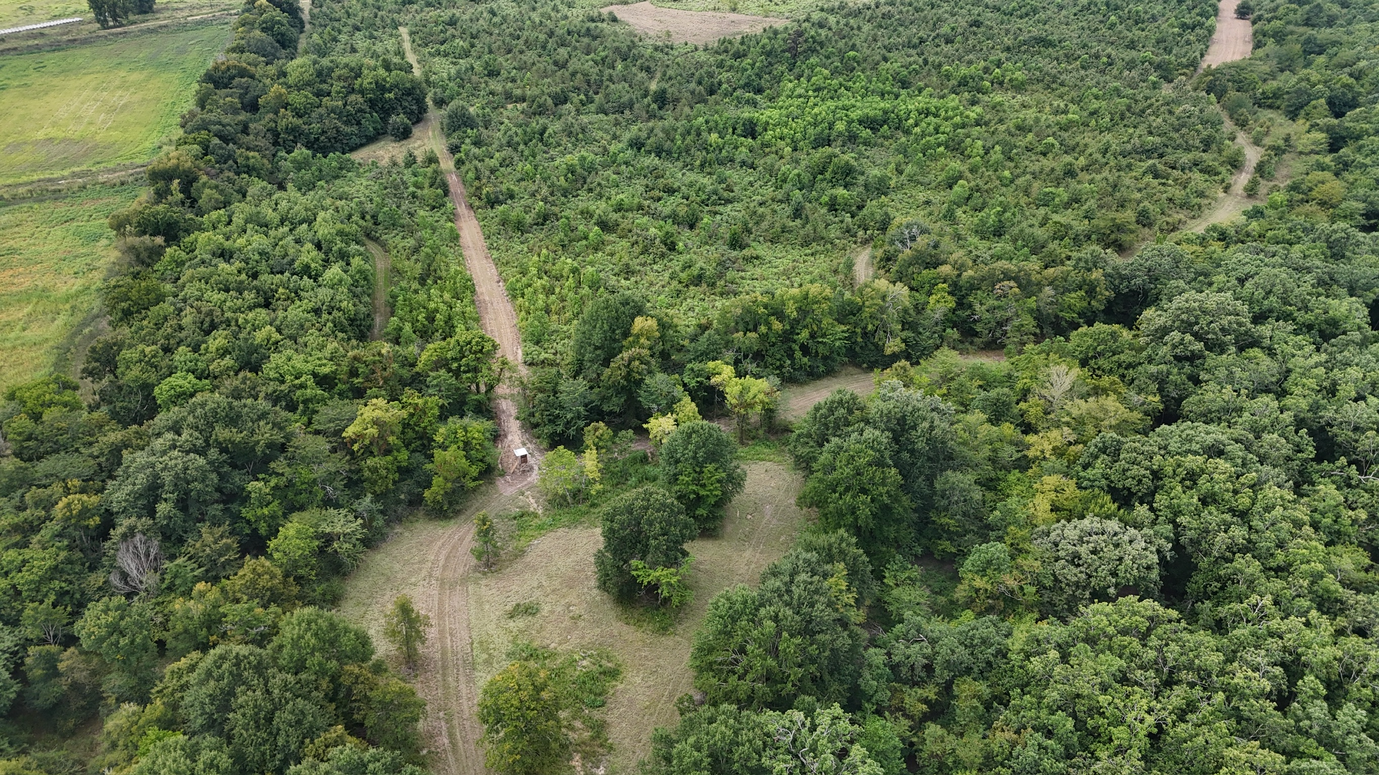 Duck and Deer Hunting Land for Sale Wisner  LA