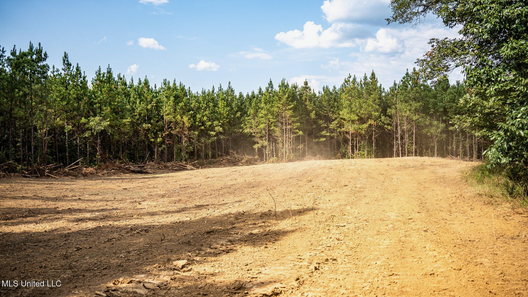 302 Acres in Hermanville, Claiborne County, MS Land