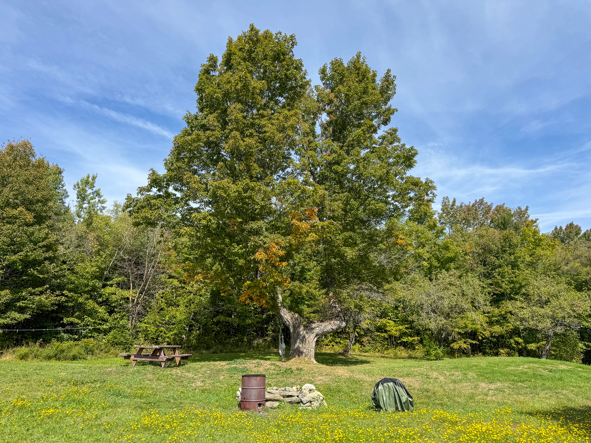 Off-Grid Log Home on 33.4 Acres