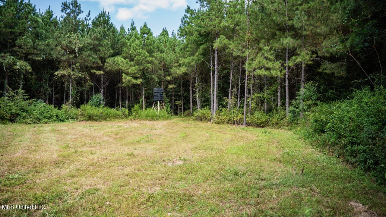 Hunting Land for Sale in Copiah County MS – Dixie Garden 46