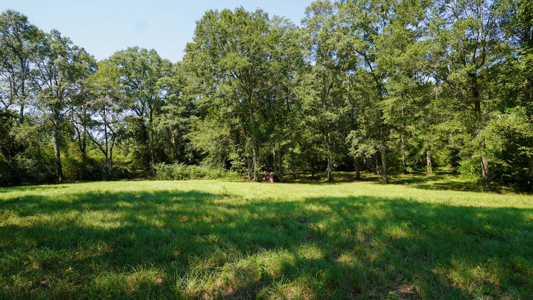 52.5 Acres of Recreational Land for Sale in Jones County MS