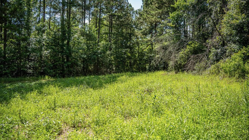 Gloster 38 – Hunting Land in Amite County, Mississippi