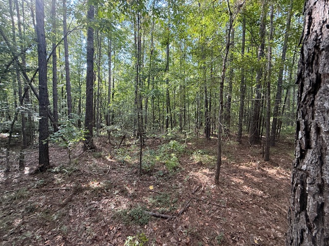 Thomaston Family Hunting and Homesite
