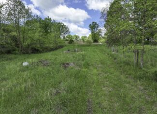 Douglas County, Missouri Hunting Land For Sale near Ava, Mo