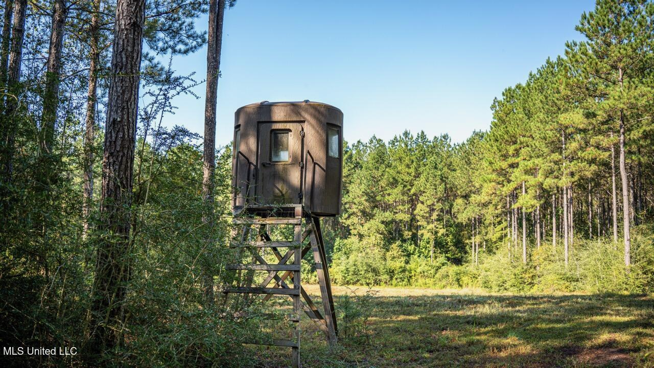 113 Acres Hunting Land with Home in Amite County, MS