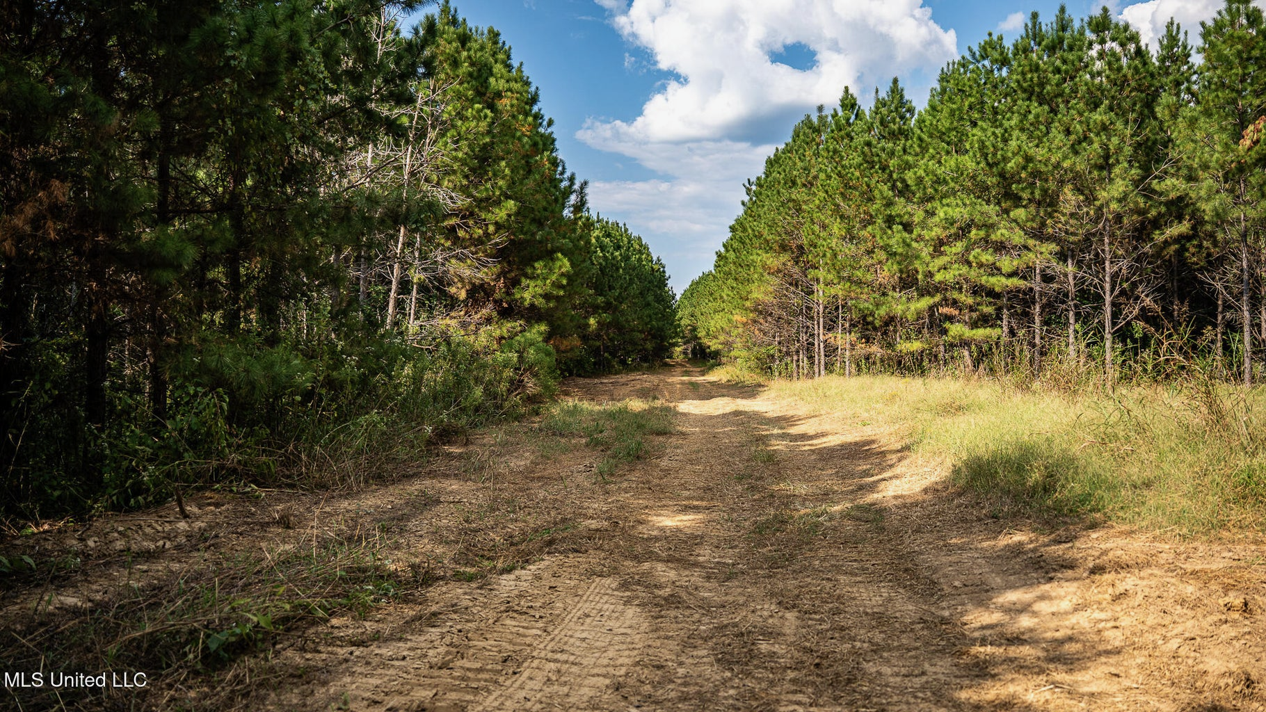 302 Acres in Hermanville, Claiborne County, MS Land