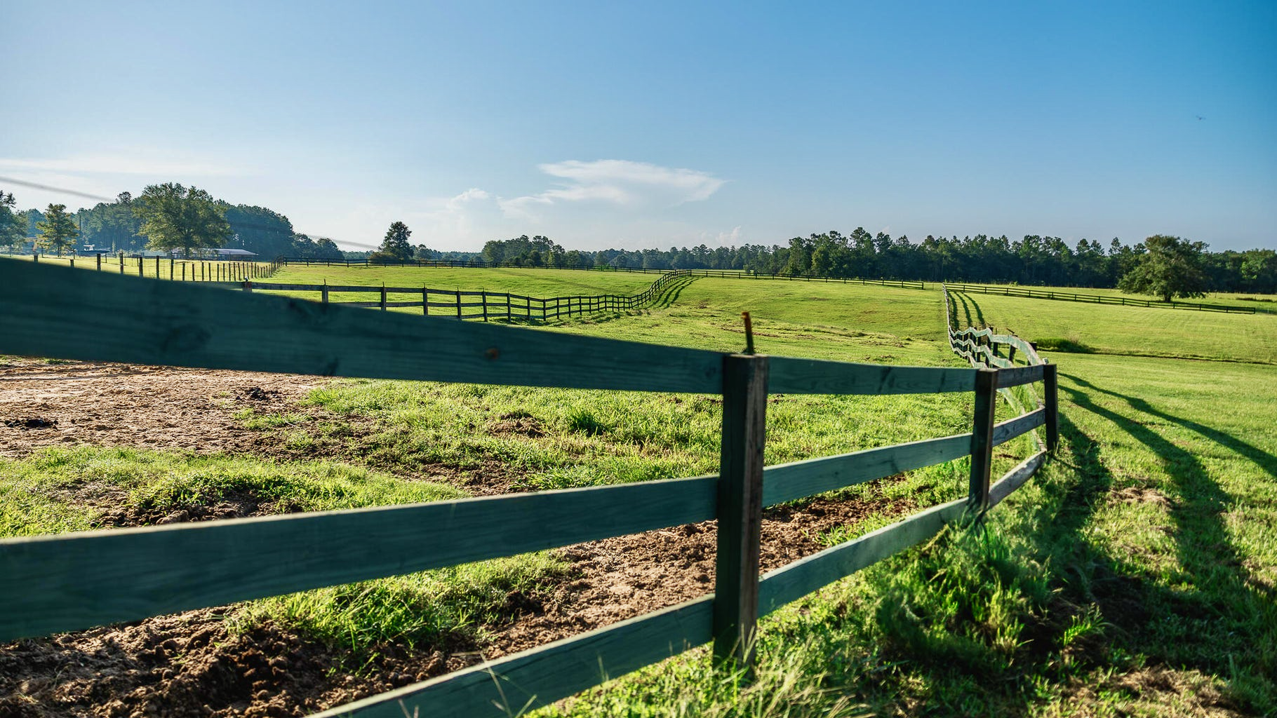 Golden Pines Ranch 235 Recreational Acres in Stone County MS