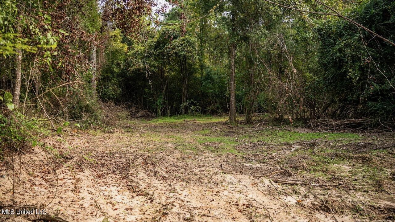 Ramsey Creek 67 Acres for Sale in Centreville, MS