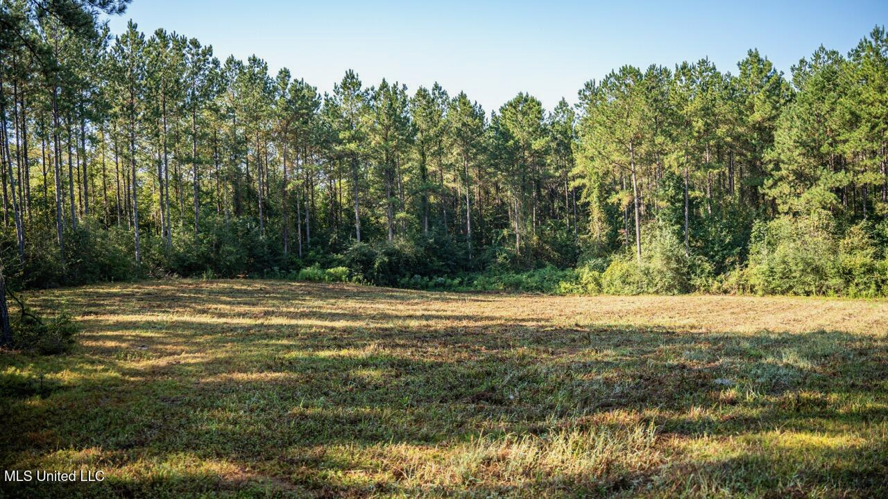 113 Acres Hunting Land with Home in Amite County, MS