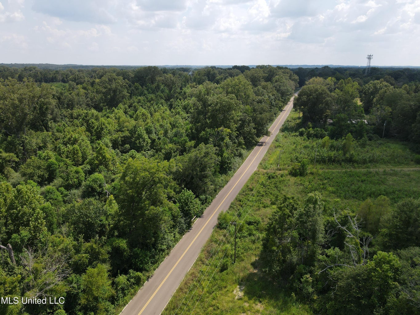 88 Acres for Sale in Hinds County Jackson, MS
