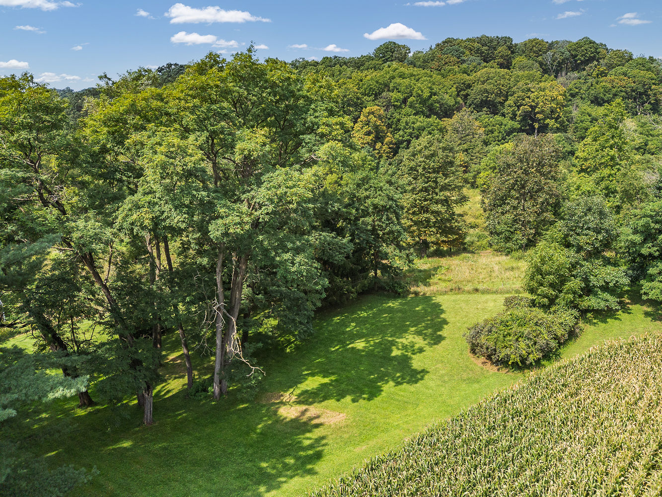 Country Home w/Deer Hunting Richland County