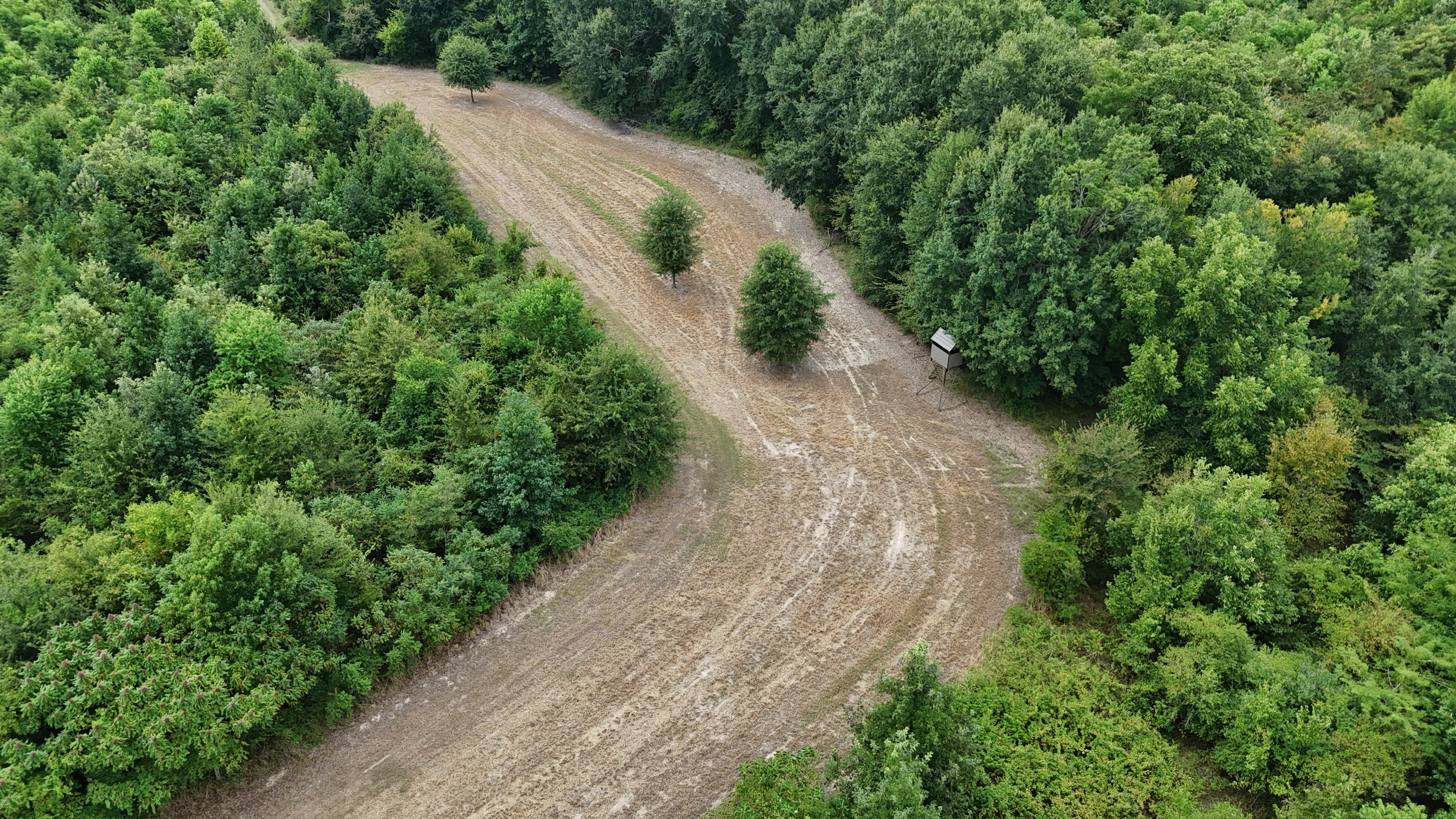 Duck and Deer Hunting Land for Sale Wisner  LA