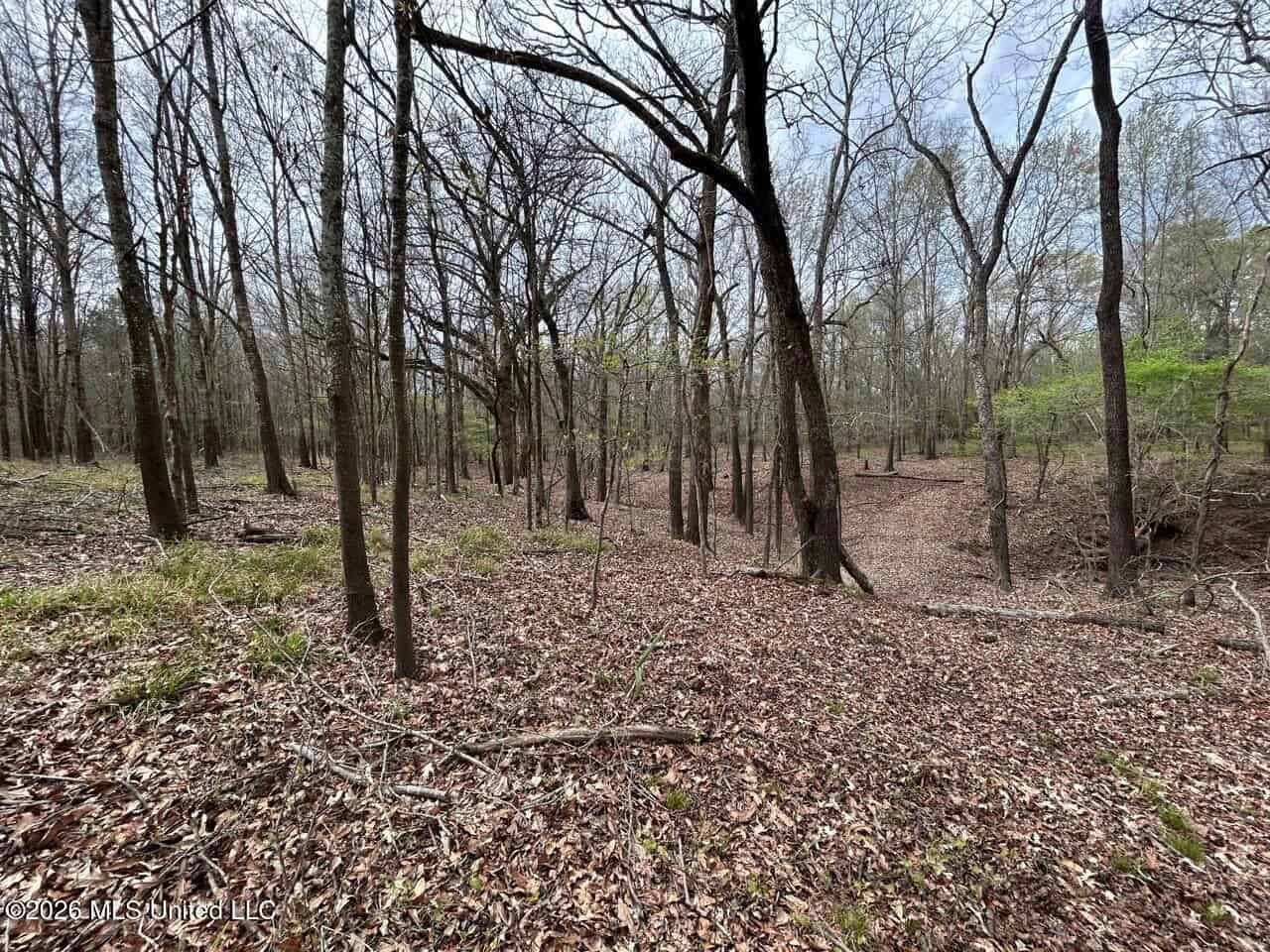 Boeuf Bend on Boeuf River North Louisiana Retreat