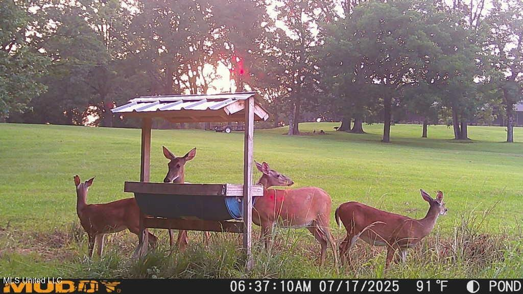 Turkey Roost Lodge in Wilkinson County, Mississippi