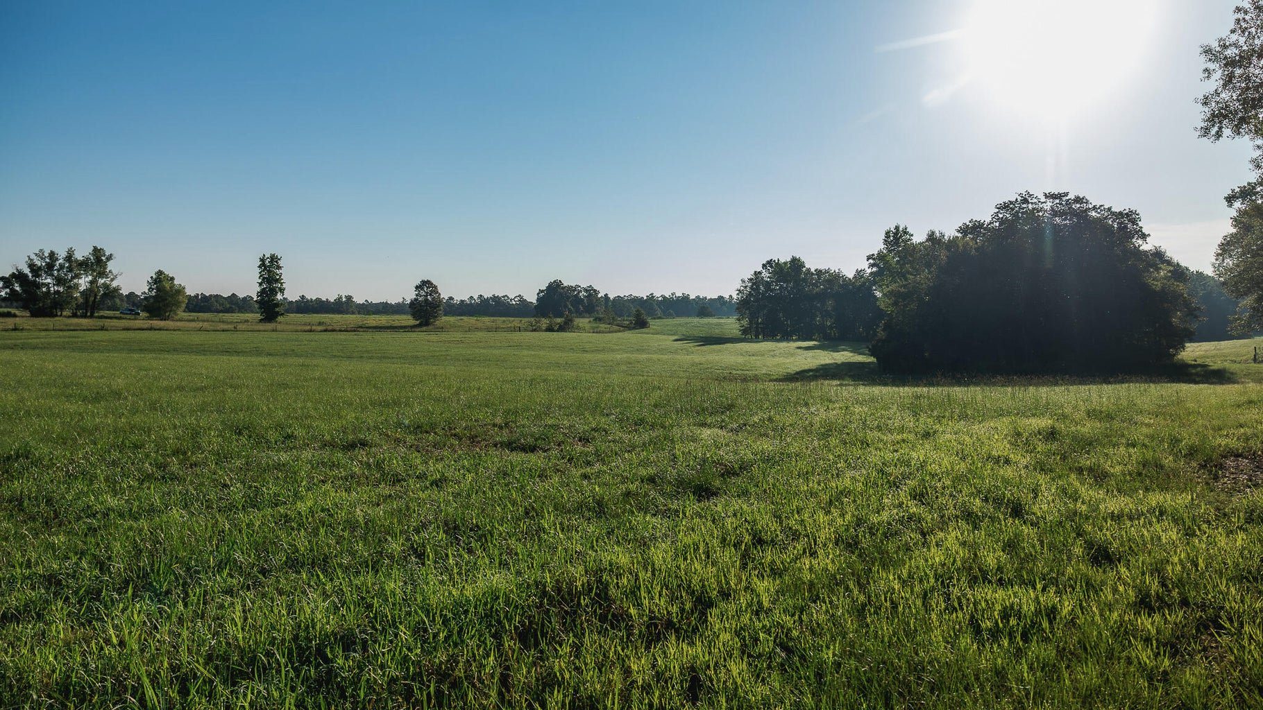 Golden Pines Ranch 235 Recreational Acres in Stone County MS