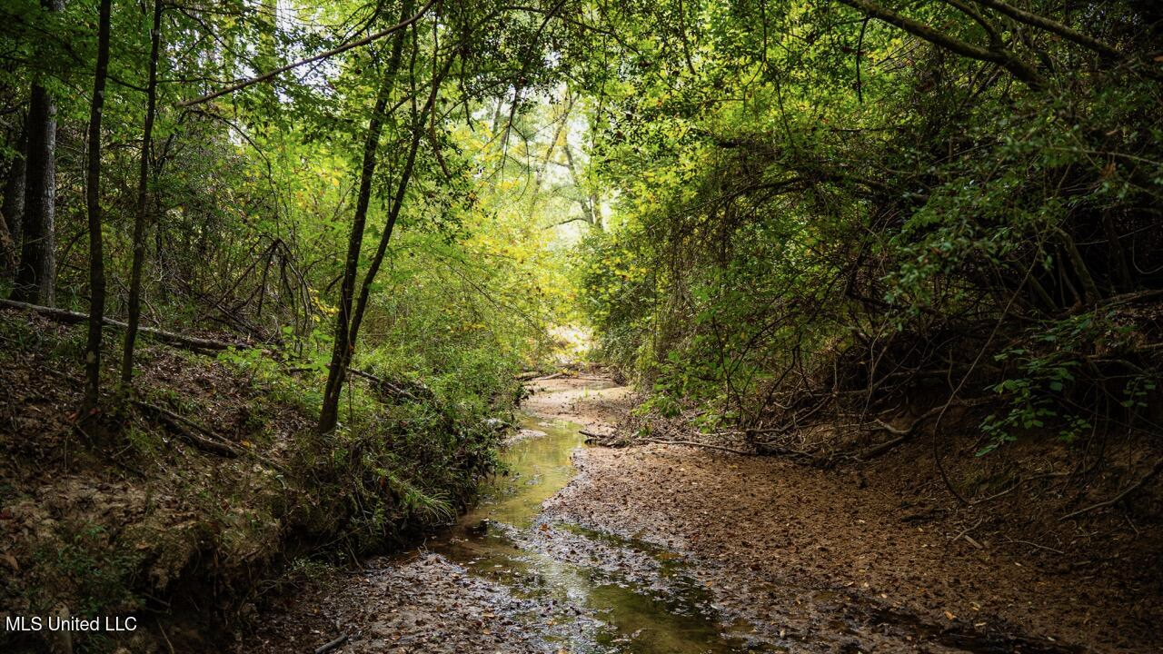 Ramsey Creek 67 Acres for Sale in Centreville, MS