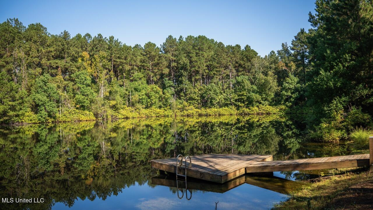 113 Acres Hunting Land with Home in Amite County, MS