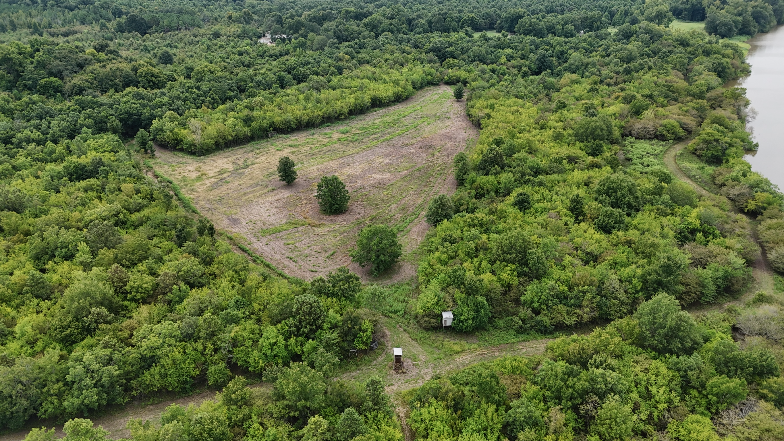 Duck and Deer Hunting Land for Sale Wisner  LA