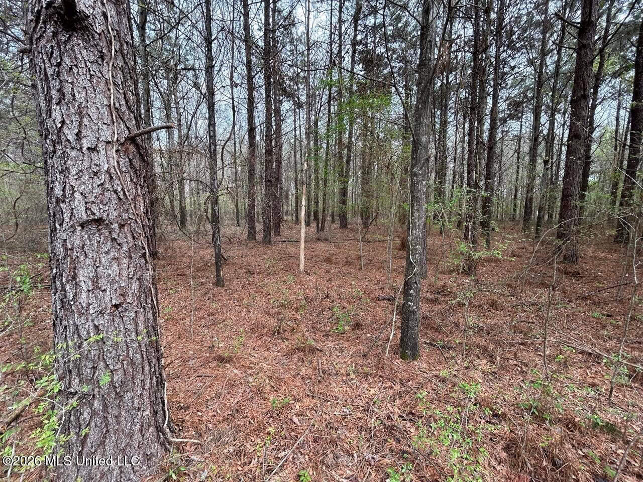 Boeuf Bend on Boeuf River North Louisiana Retreat