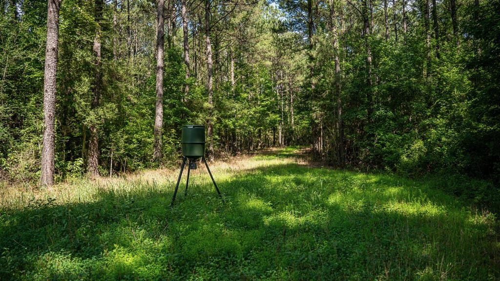 Gloster 38 – Hunting Land in Amite County, Mississippi