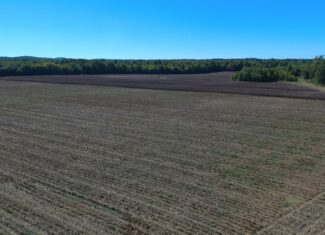 UNRESTRICTED LAND THAT HAS GREAT HUNTING THAT HAS BEEN USED AS FARM LAND