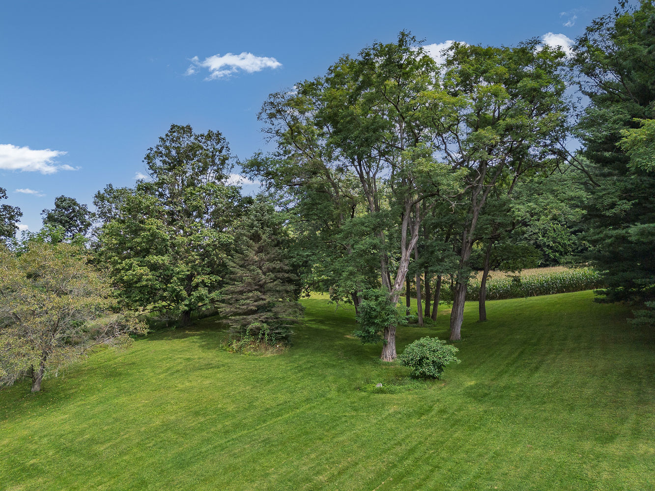Country Home w/Deer Hunting Richland County