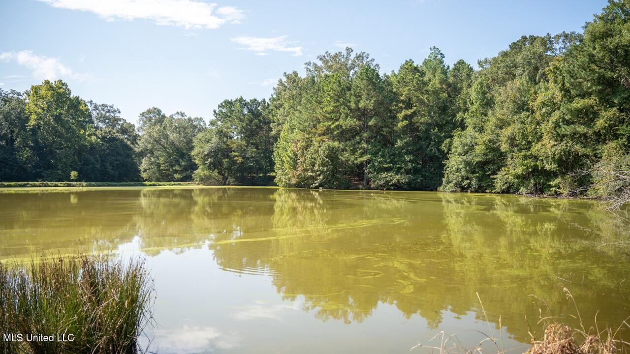 Turkey Roost Lodge in Wilkinson County, Mississippi