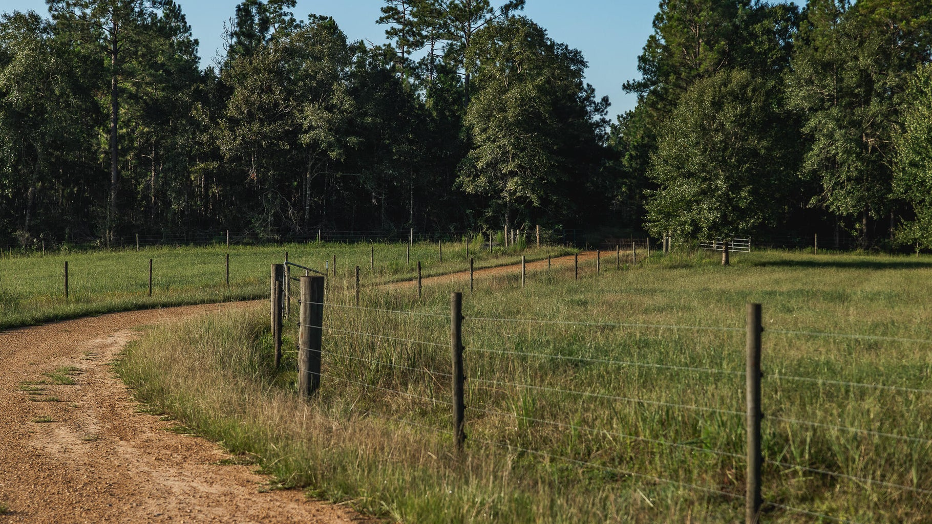 Golden Pines Ranch 235 Recreational Acres in Stone County MS