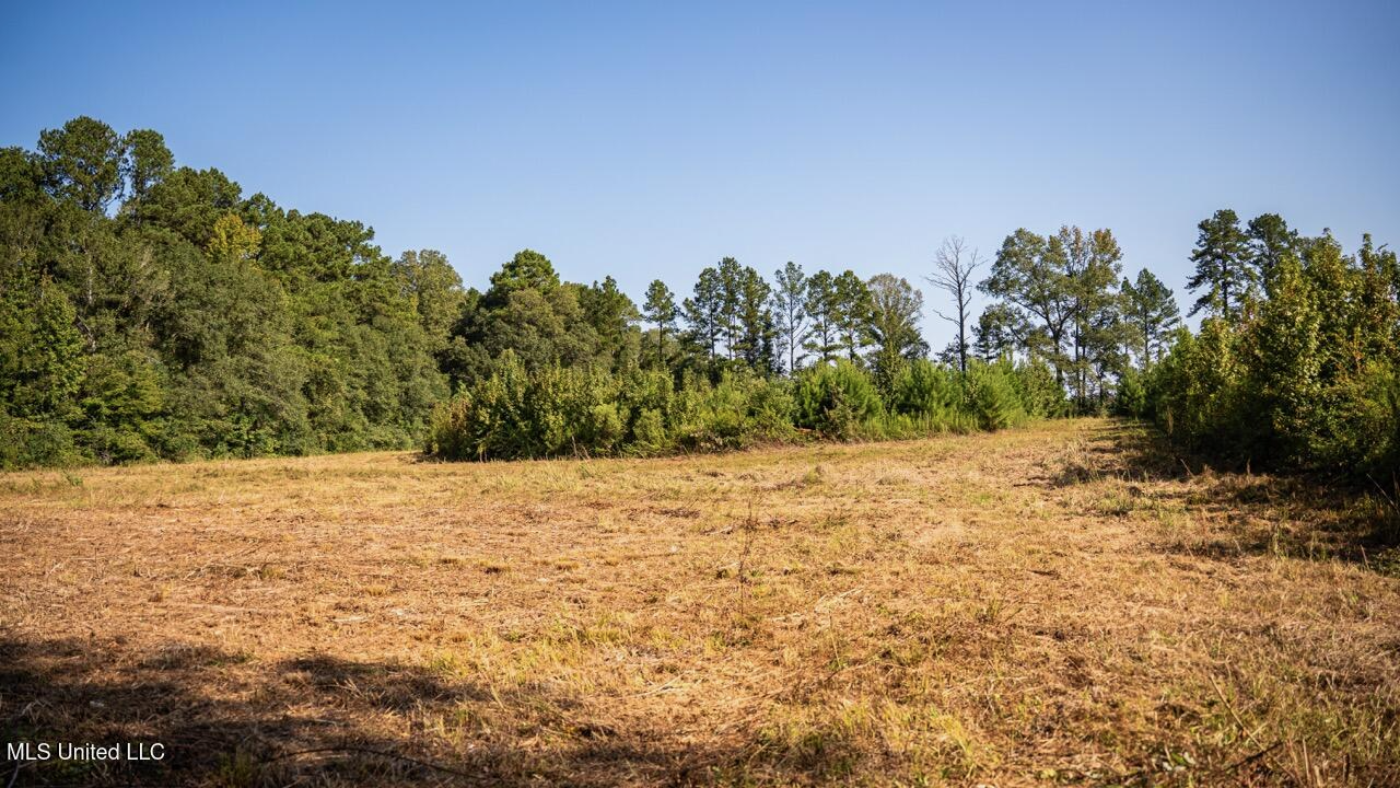 Cotton Creek 169 Acres for Sale in Amite County, MS