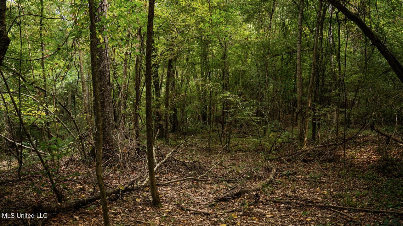 Ramsey Creek 67 Acres for Sale in Centreville, MS