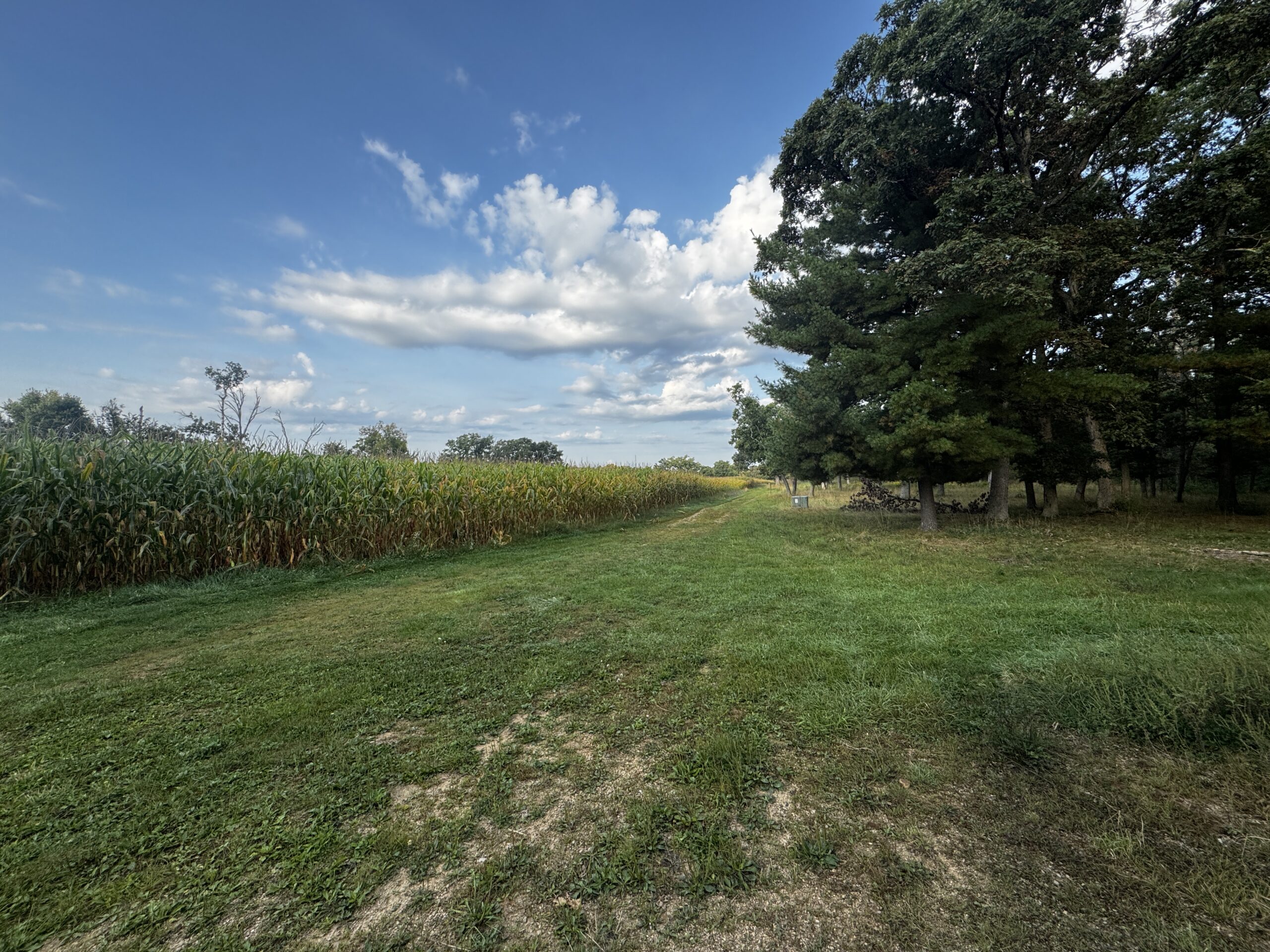 40 acres just north of Wisconsin Dells with abundant deer & turkey habitat