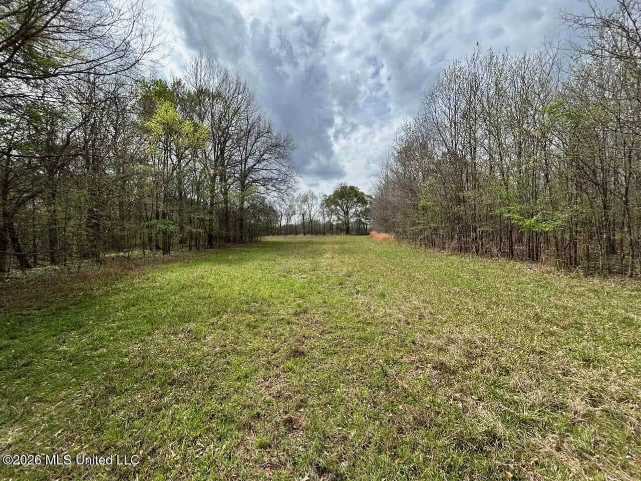 Boeuf Bend on Boeuf River North Louisiana Retreat