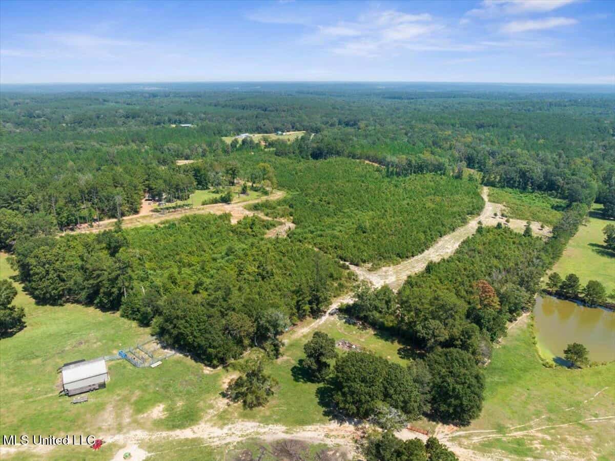 Pike Co Home with 125 Acres in North Pike School District