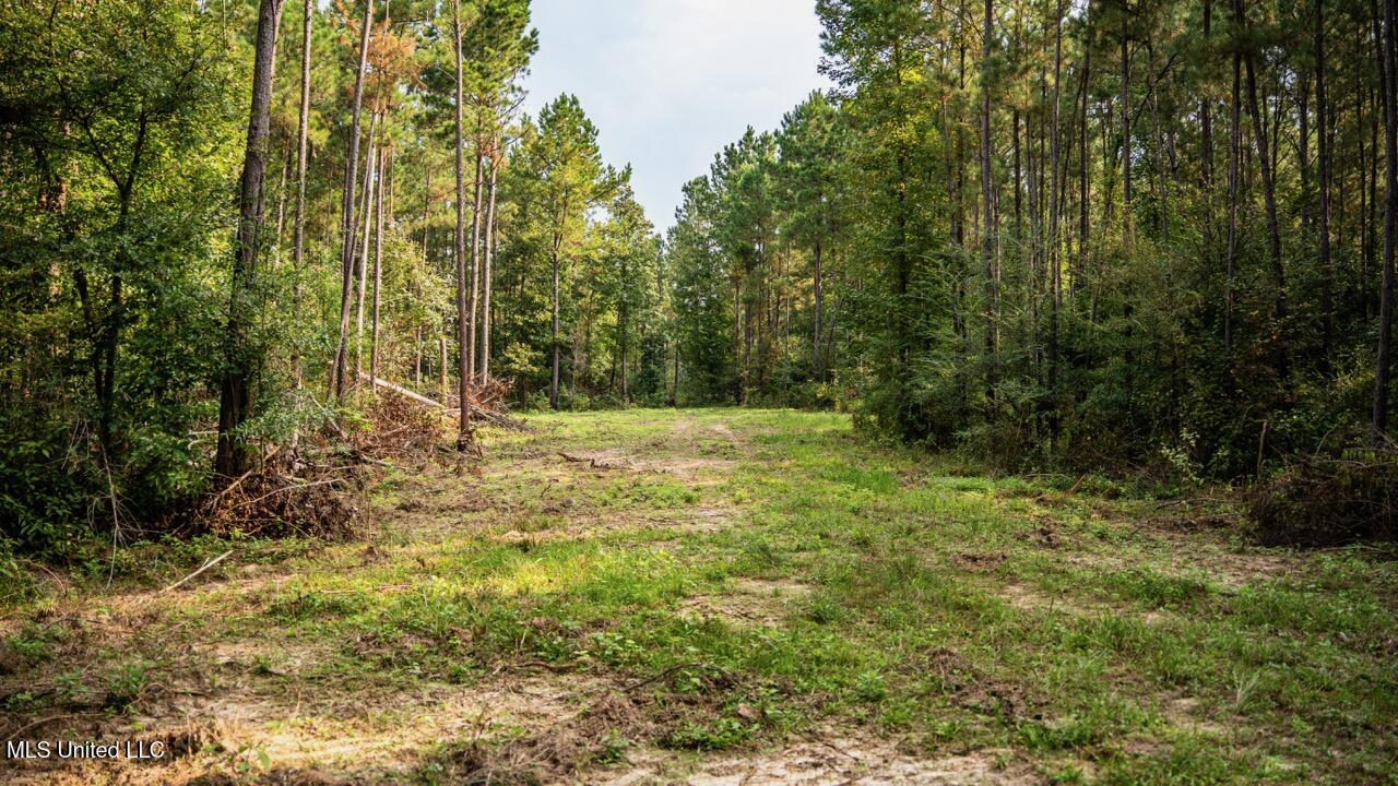 Ramsey Creek 67 Acres for Sale in Centreville, MS