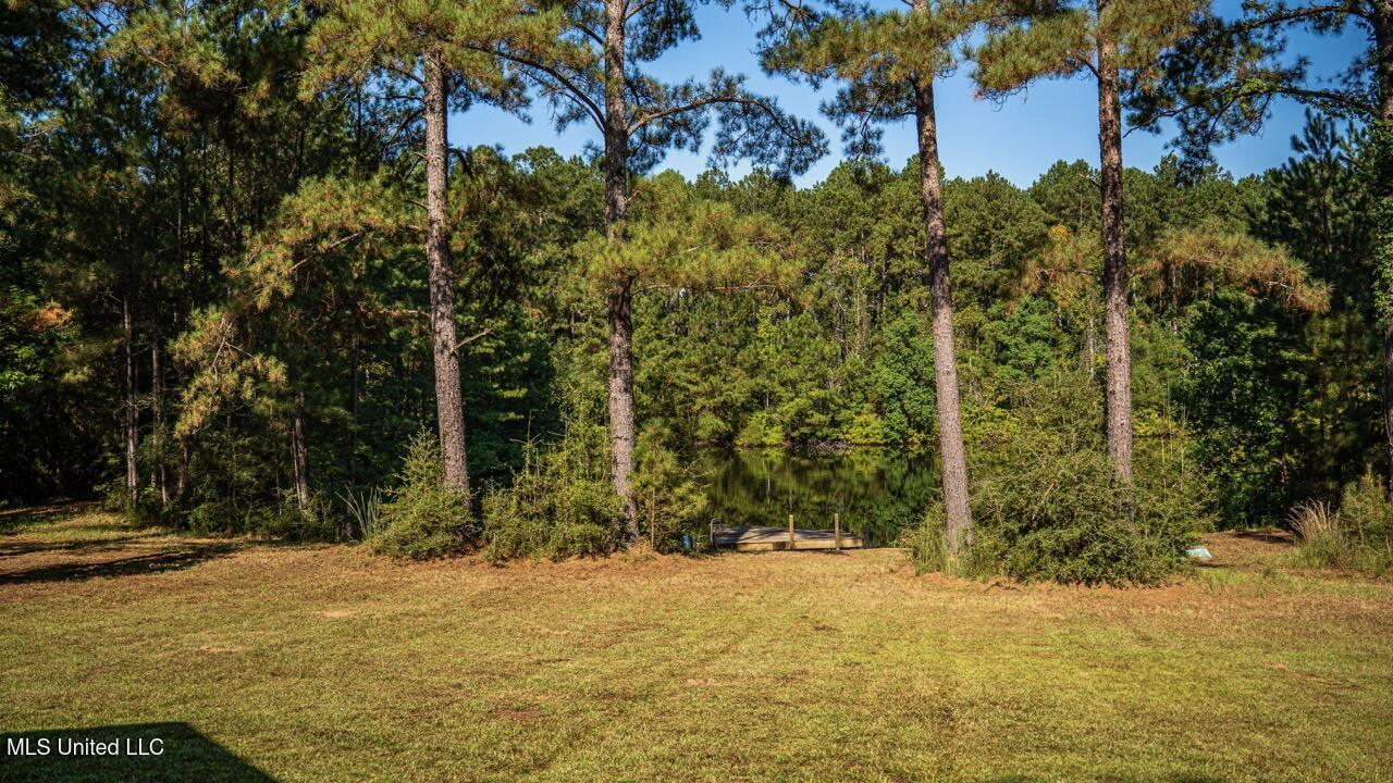 113 Acres Hunting Land with Home in Amite County, MS
