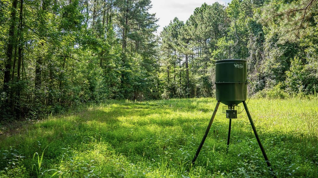 Gloster 38 – Hunting Land in Amite County, Mississippi